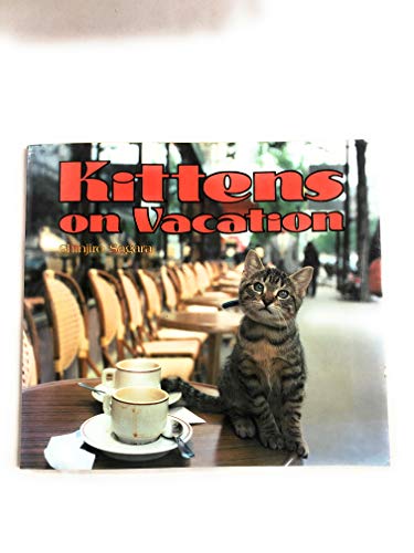 Kittens on Vacation Sagara, Shinjiro