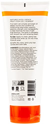 Andalou Naturals Argan Oil Plus LeaveIn Conditioner Fluid, Vanilla, 6.8 Fl Oz