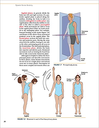 Dynamic Human Anatomy [Paperback] Whiting, William C.