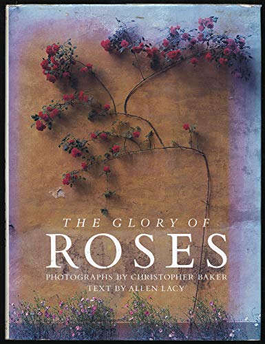 The Glory of Roses Lacy, Allen and Baker, Christopher