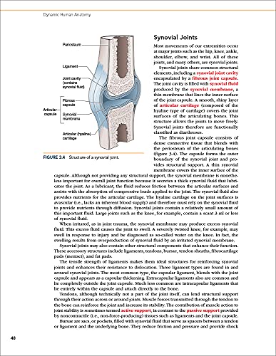 Dynamic Human Anatomy [Paperback] Whiting, William C.